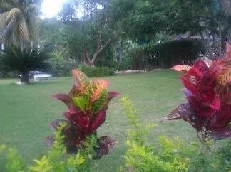 Comfort Kingdom Villa Montego Bay